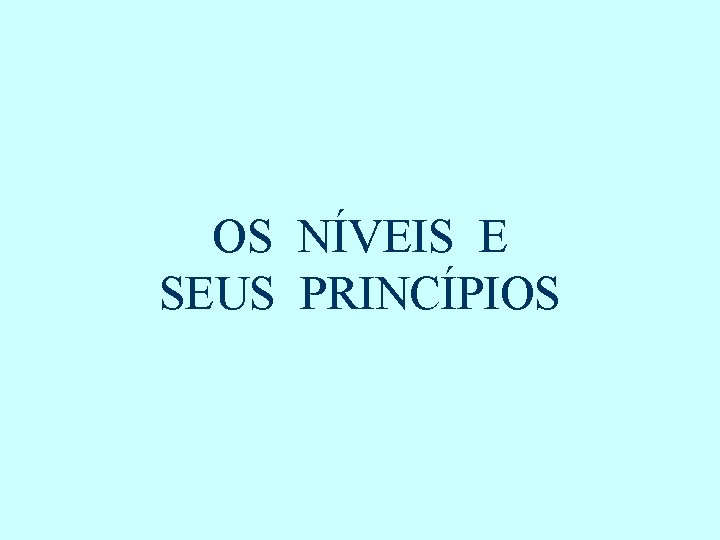 OS NÍVEIS E SEUS PRINCÍPIOS 