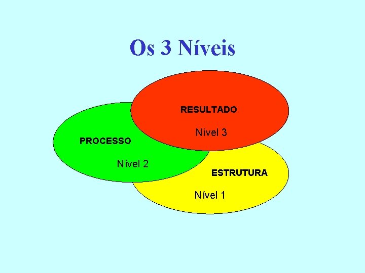 Os 3 Níveis RESULTADO PROCESSO Nível 2 Nível 3 ESTRUTURA Nível 1 