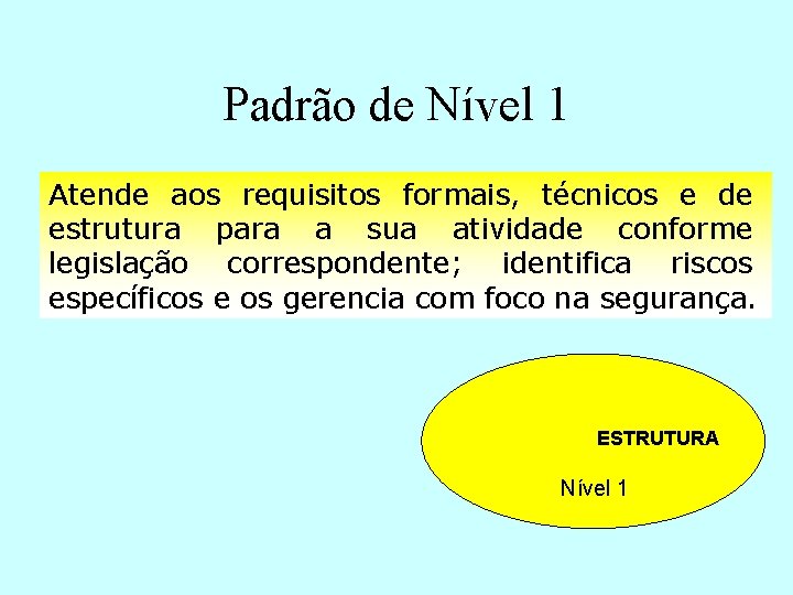 Padrão de Nível 1 Atende aos requisitos formais, técnicos e de estrutura para a