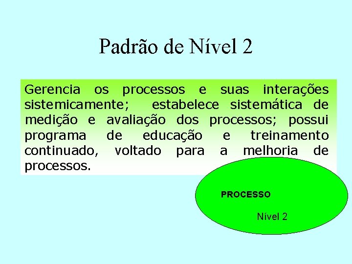 Padrão de Nível 2 Gerencia os processos e suas interações sistemicamente; estabelece sistemática de