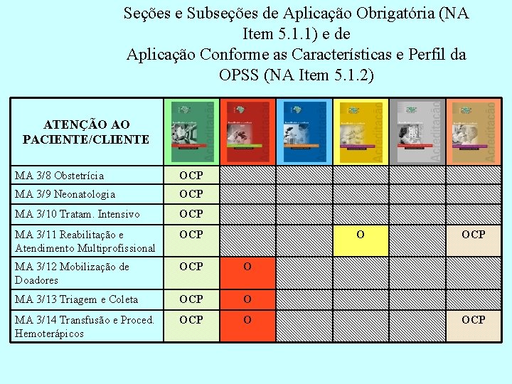 Seções e Subseções de Aplicação Obrigatória (NA Item 5. 1. 1) e de Aplicação