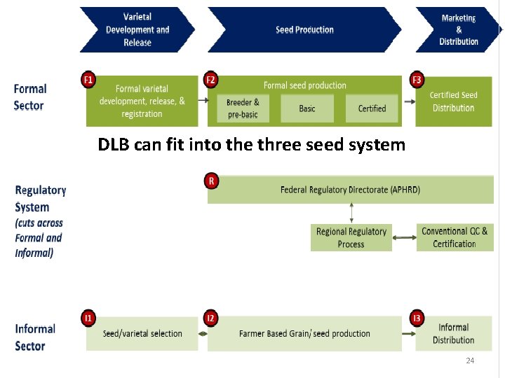 DLB can fit into the three seed system 24 