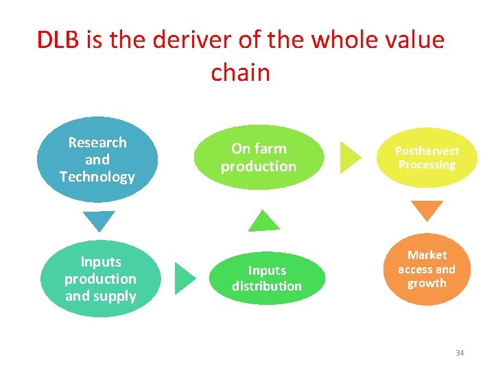 DLB is the deriver of the whole value chain Research and Technology Inputs production