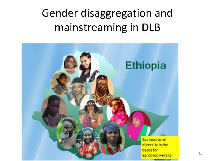 Gender disaggregation and mainstreaming in DLB 41 