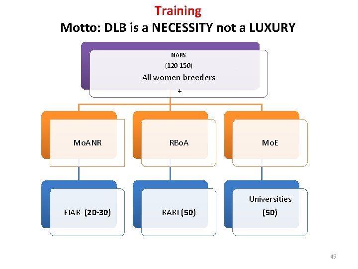 Training Motto: DLB is a NECESSITY not a LUXURY NARS (120 -150) All women