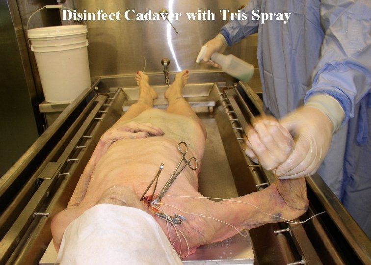 Disinfect Cadaver with Tris Spray 