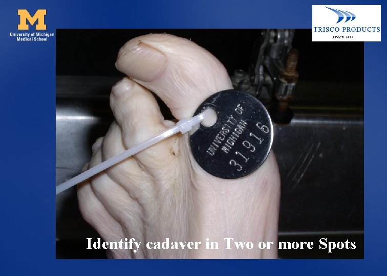 Identify cadaver in Two or more Spots 
