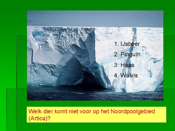 1. IJsbeer 2. Pinguïn 3. Haas 4. Walvis Welk dier komt niet voor op