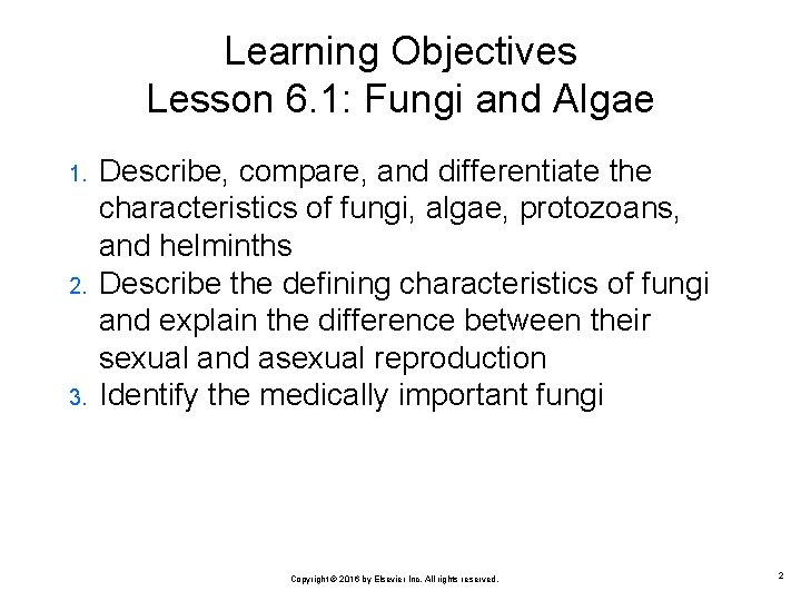 Learning Objectives Lesson 6. 1: Fungi and Algae 1. 2. 3. Describe, compare, and