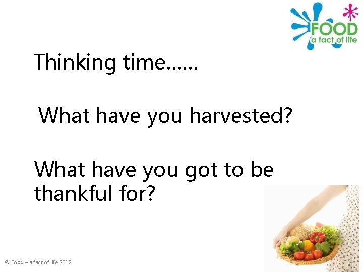 Thinking time…… What have you harvested? What have you got to be thankful for?