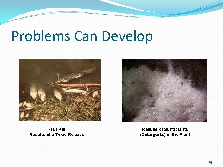 Problems Can Develop Fish Kill Results of a Toxic Release Results of Surfactants (Detergents)