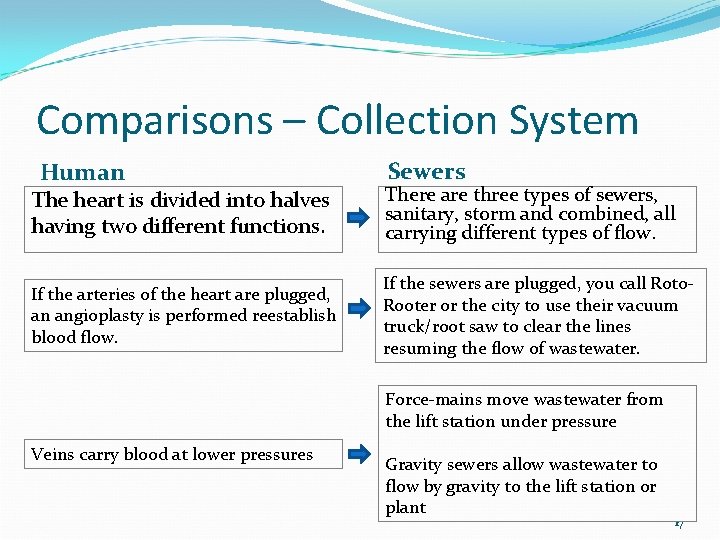 Comparisons – Collection System Human Sewers The heart is divided into halves having two