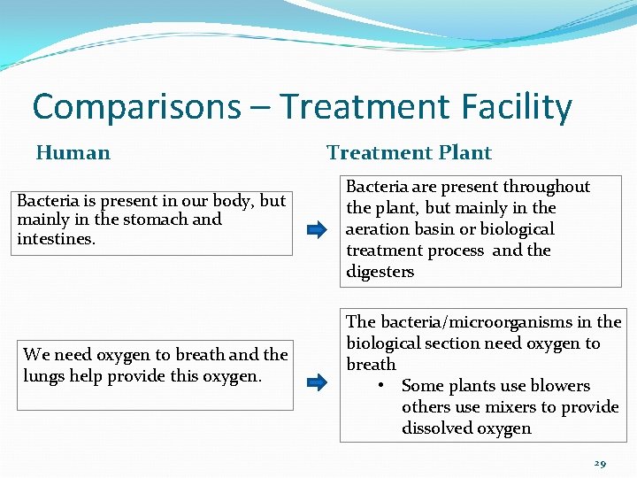 Comparisons – Treatment Facility Human Bacteria is present in our body, but mainly in