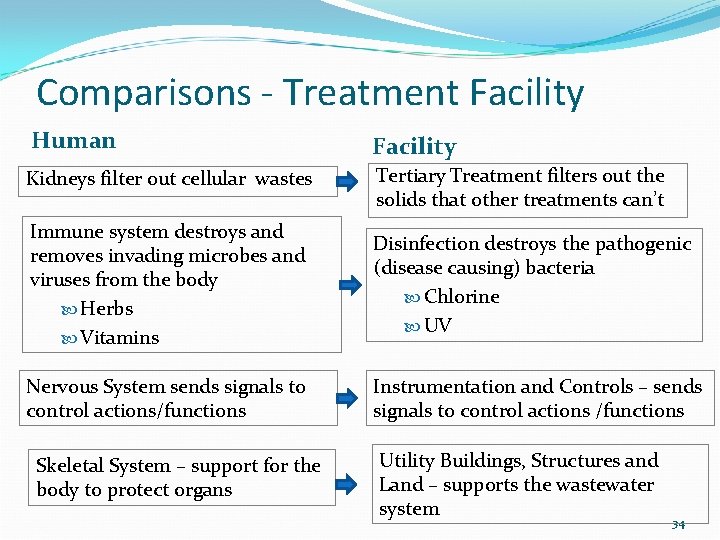 Comparisons - Treatment Facility Human Facility Kidneys filter out cellular wastes Tertiary Treatment filters