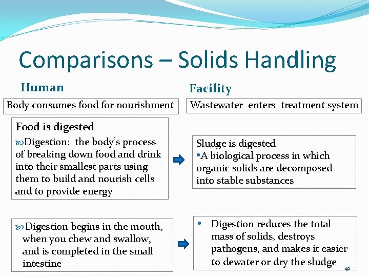 Comparisons – Solids Handling Human Body consumes food for nourishment Facility Wastewater enters treatment