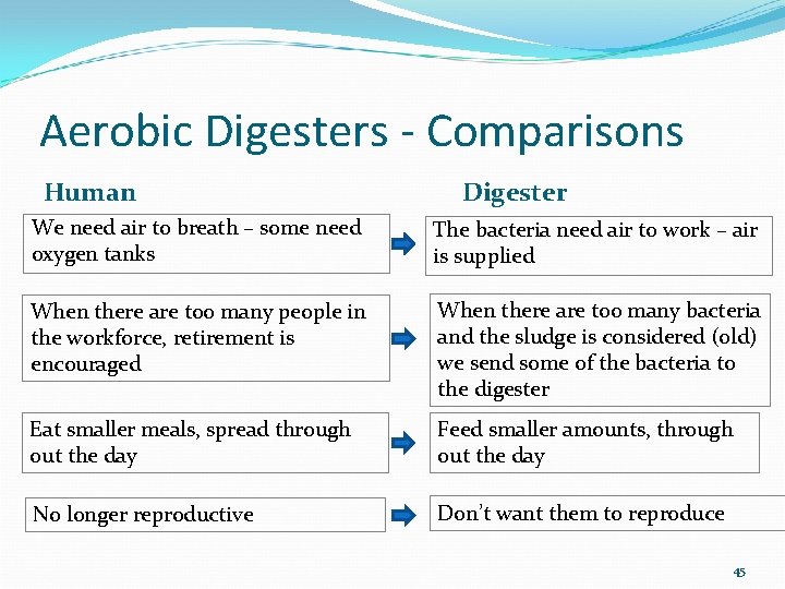 Aerobic Digesters - Comparisons Human Digester We need air to breath – some need