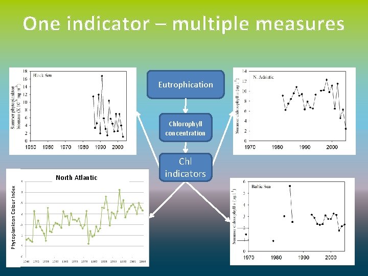 One indicator – multiple measures Eutrophication Chlorophyll concentration Phytoplankton Colour Index North Atlantic Chl