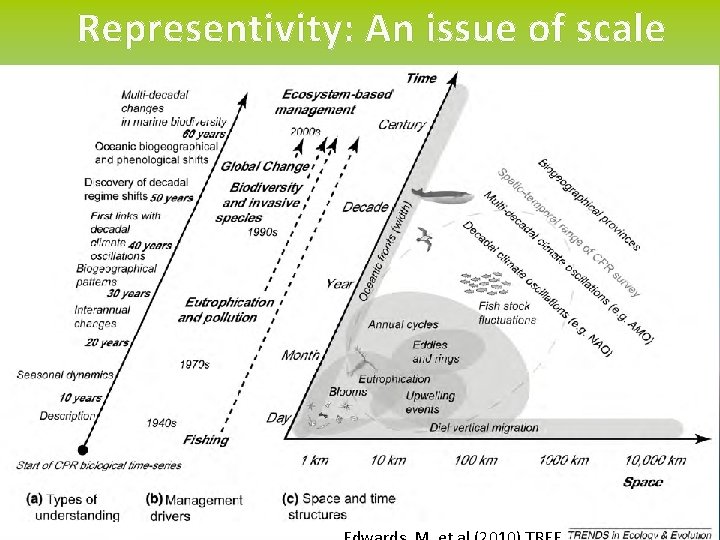 Representivity: An issue of scale 