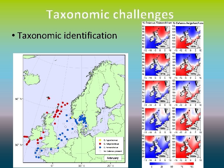 Taxonomic challenges • Taxonomic identification 