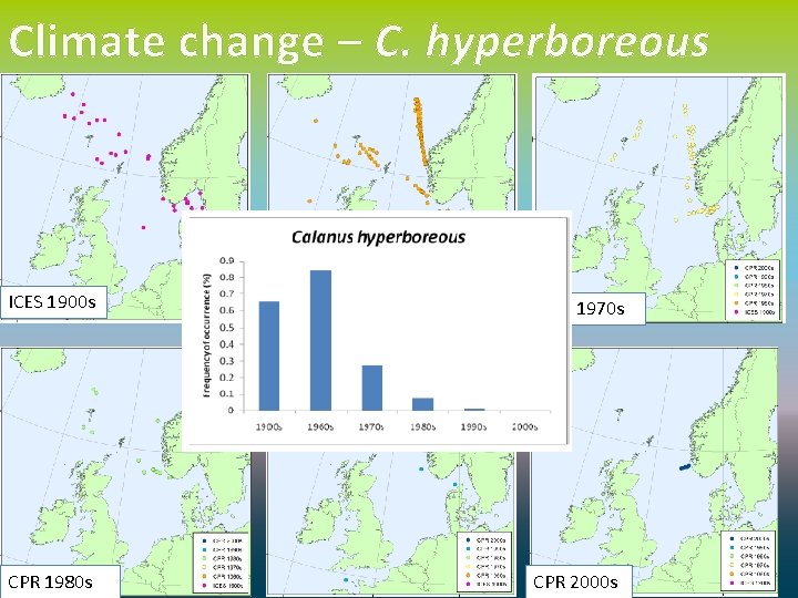 Climate change – C. hyperboreous ICES 1900 s CPR 1960 s CPR 1970 s