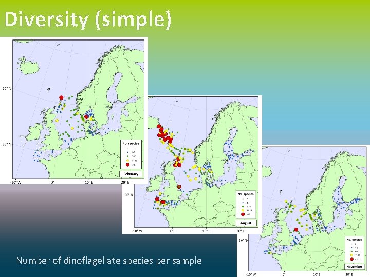 Diversity (simple) Number of dinoflagellate species per sample 