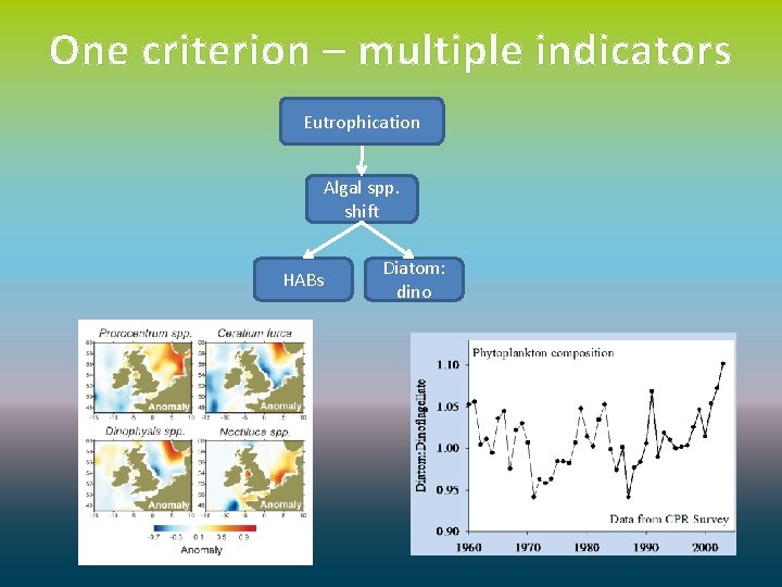 One criterion – multiple indicators Eutrophication Algal spp. shift HABs Diatom: dino 