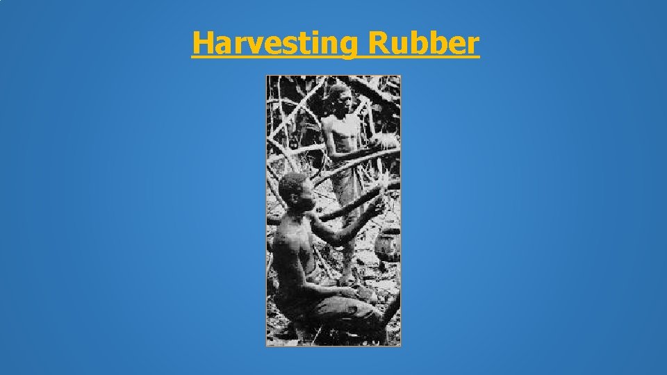 Harvesting Rubber 