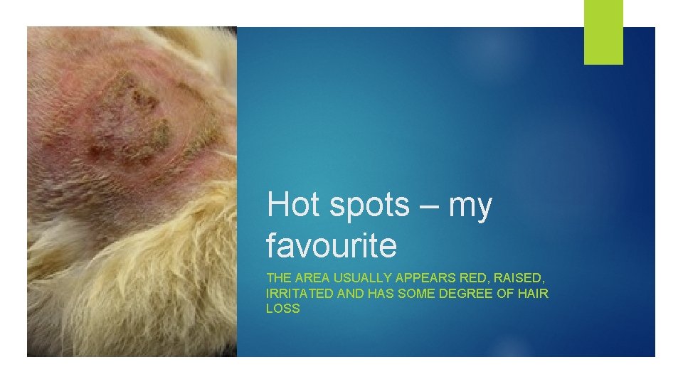 Hot spots – my favourite THE AREA USUALLY APPEARS RED, RAISED, IRRITATED AND HAS