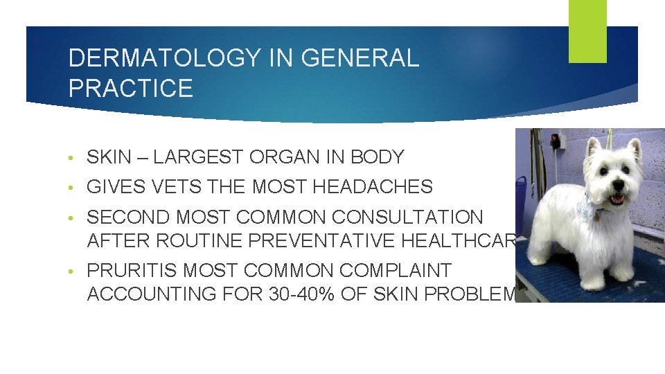 DERMATOLOGY IN GENERAL PRACTICE • SKIN – LARGEST ORGAN IN BODY • GIVES VETS