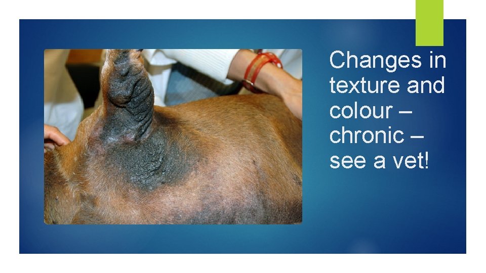 Changes in texture and colour – chronic – see a vet! 