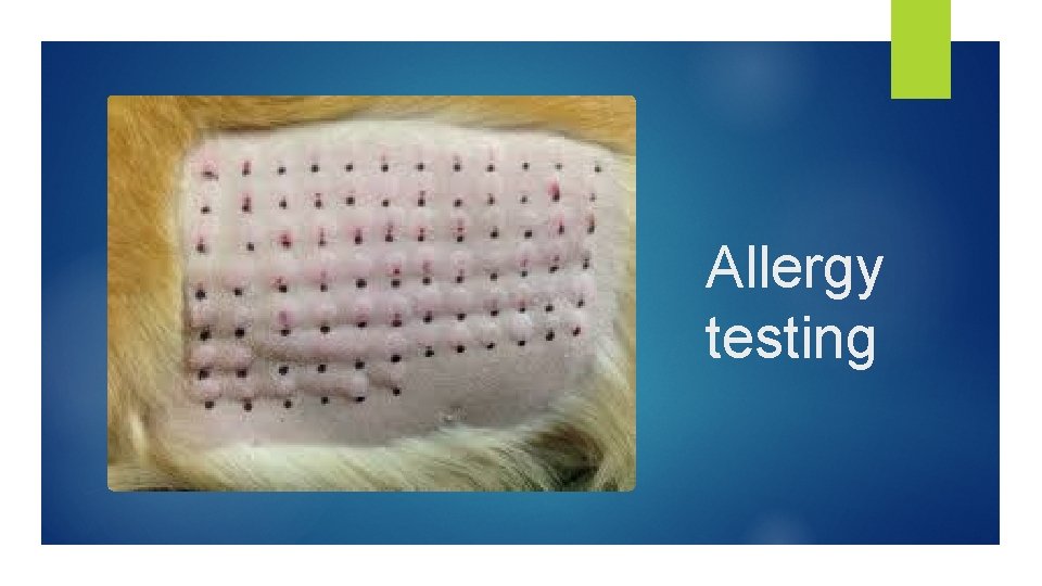 Allergy testing 