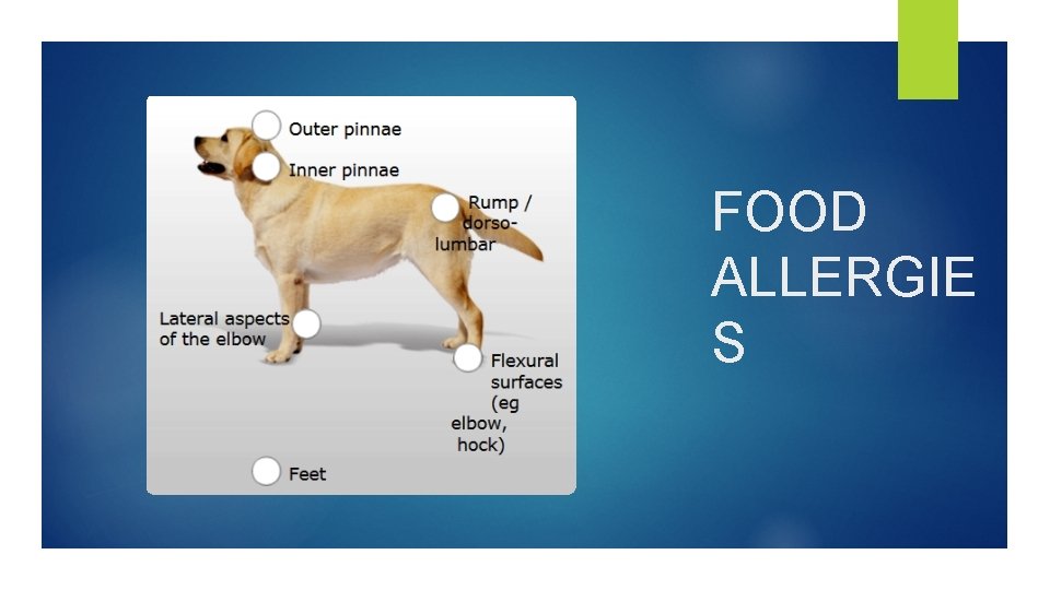 FOOD ALLERGIE S 