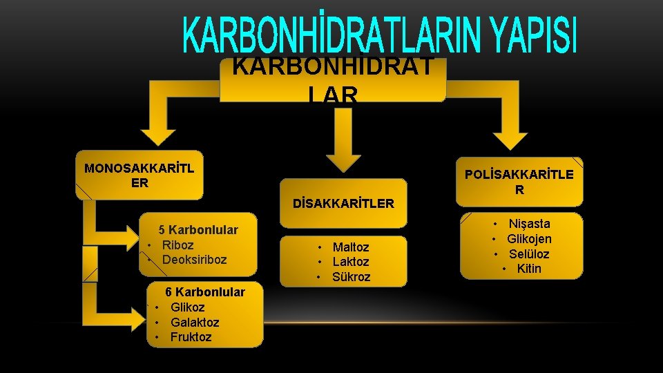 KARBONHİDRAT LAR MONOSAKKARİTL ER POLİSAKKARİTLE R DİSAKKARİTLER 5 Karbonlular • Riboz • Deoksiriboz 6