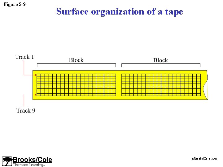Figure 5 -9 Surface organization of a tape ©Brooks/Cole, 2003 Figure 5 -9 Surface organization of a tape ©Brooks/Cole, 2003