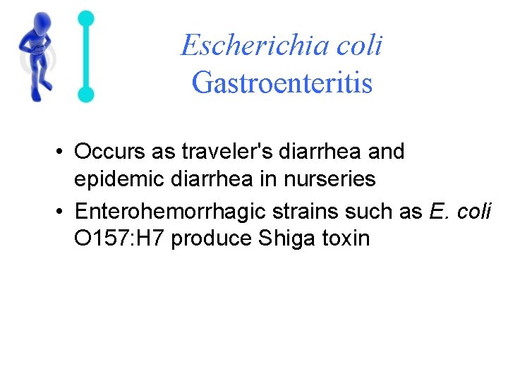 Escherichia coli Gastroenteritis • Occurs as traveler's diarrhea and epidemic diarrhea in nurseries •