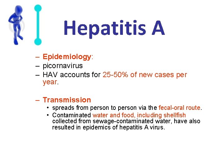 Hepatitis A – Epidemiology: – picornavirus – HAV accounts for 25 -50% of new