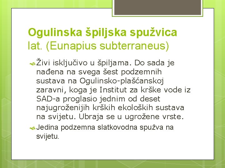 Ogulinska špiljska spužvica lat. (Eunapius subterraneus) Živi isključivo u špiljama. Do sada je nađena