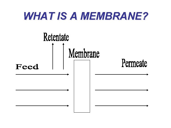 WHAT IS A MEMBRANE? 