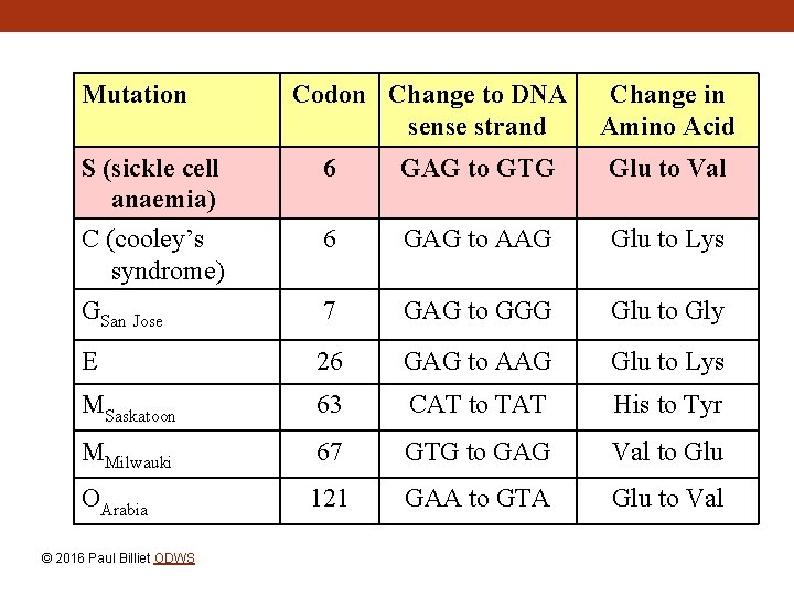 Mutation Codon Change to DNA sense strand Change in Amino Acid S (sickle cell