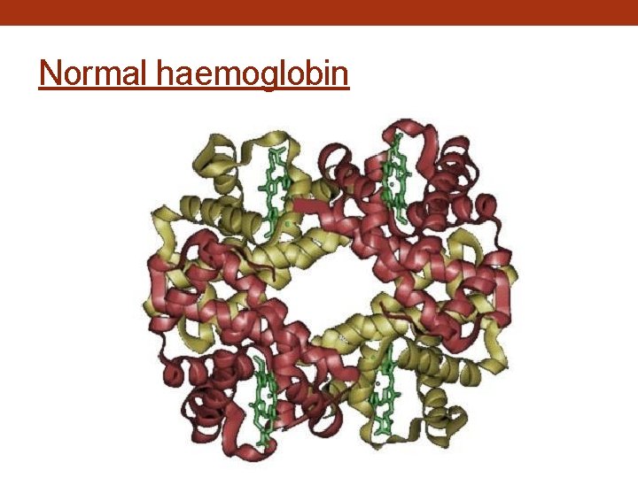 Normal haemoglobin 