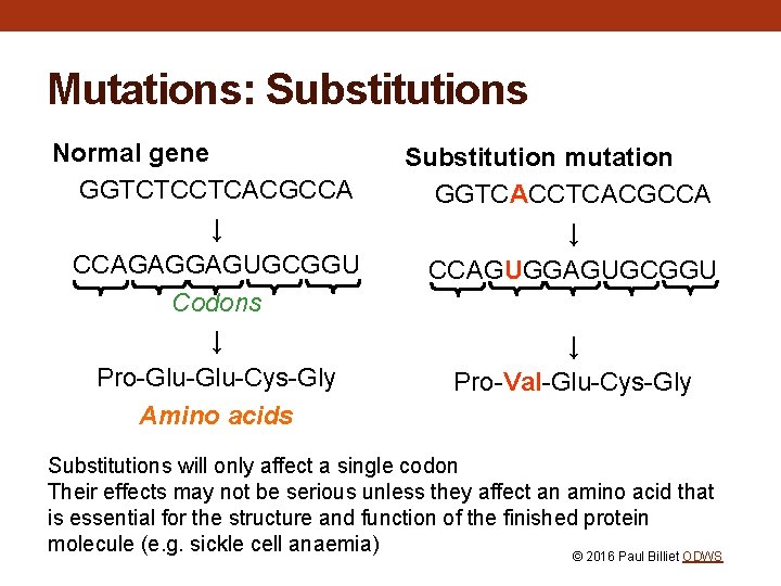 Mutations: Substitutions Normal gene GGTCTCCTCACGCCA ↓ CCAGAGGAGUGCGGU Codons ↓ Pro-Glu-Cys-Gly Amino acids Substitution mutation