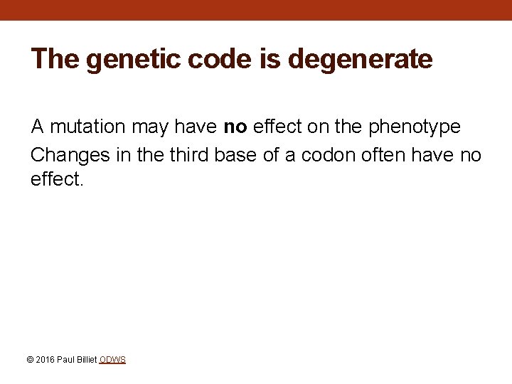 The genetic code is degenerate A mutation may have no effect on the phenotype