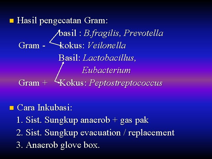 n Hasil pengecatan Gram: basil : B. fragilis, Prevotella Gram kokus: Veilonella Basil: Lactobacillus,