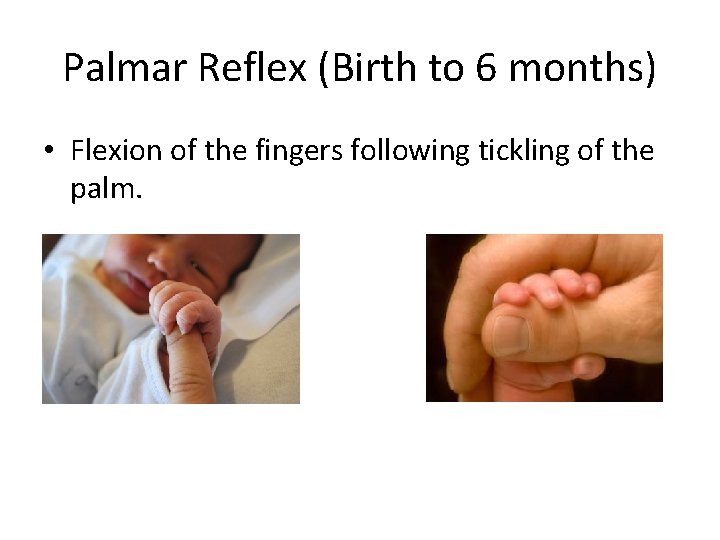 Palmar Reflex (Birth to 6 months) • Flexion of the fingers following tickling of
