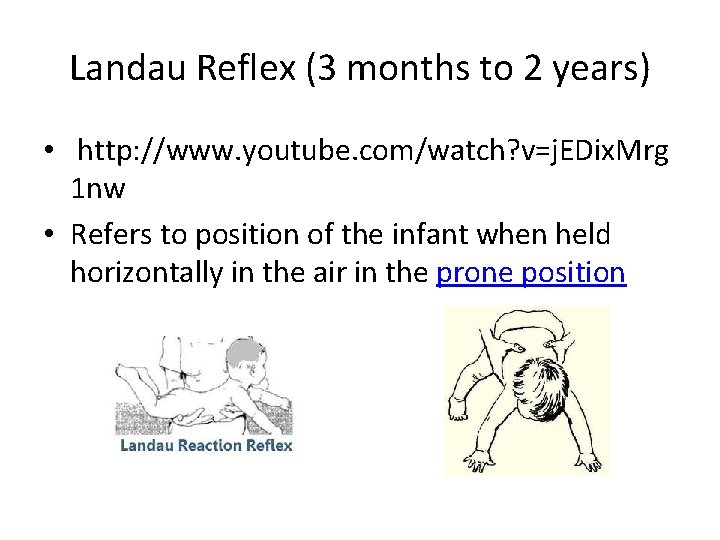 Landau Reflex (3 months to 2 years) • http: //www. youtube. com/watch? v=j. EDix.