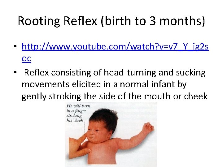 Rooting Reflex (birth to 3 months) • http: //www. youtube. com/watch? v=v 7_Y_jg 2