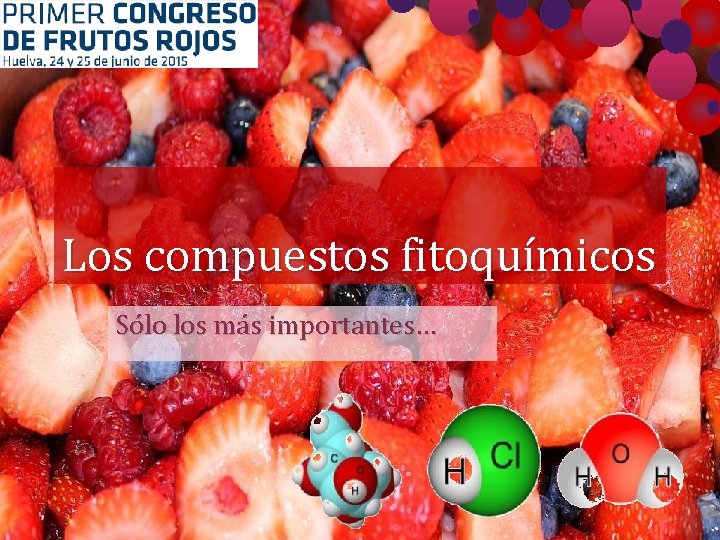 Los compuestos fitoquímicos Sólo los más importantes… 