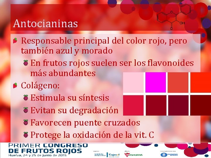 Antocianinas Responsable principal del color rojo, pero también azul y morado En frutos rojos