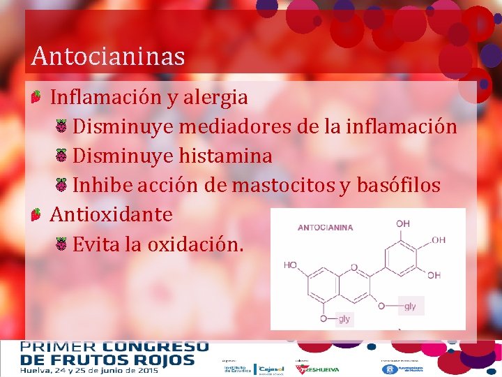 Antocianinas Inflamación y alergia Disminuye mediadores de la inflamación Disminuye histamina Inhibe acción de