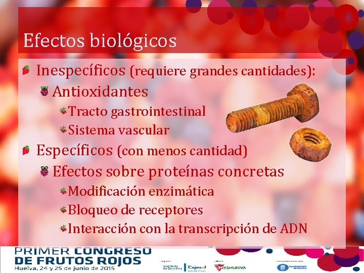 Efectos biológicos Inespecíficos (requiere grandes cantidades): Antioxidantes Tracto gastrointestinal Sistema vascular Específicos (con menos